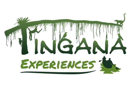 Logo_Tingana Experience_Color