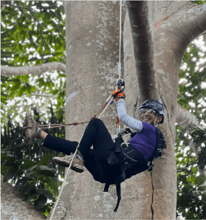 Escalada en un  árbol de ojé